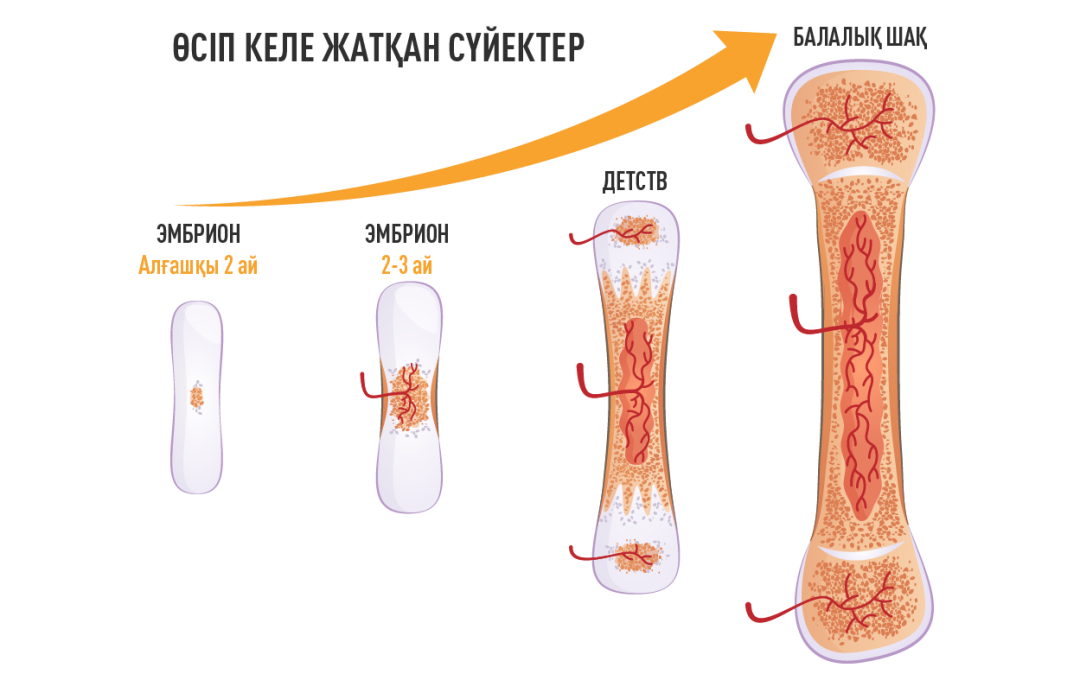 Орыс порно мама аға сіңлісі